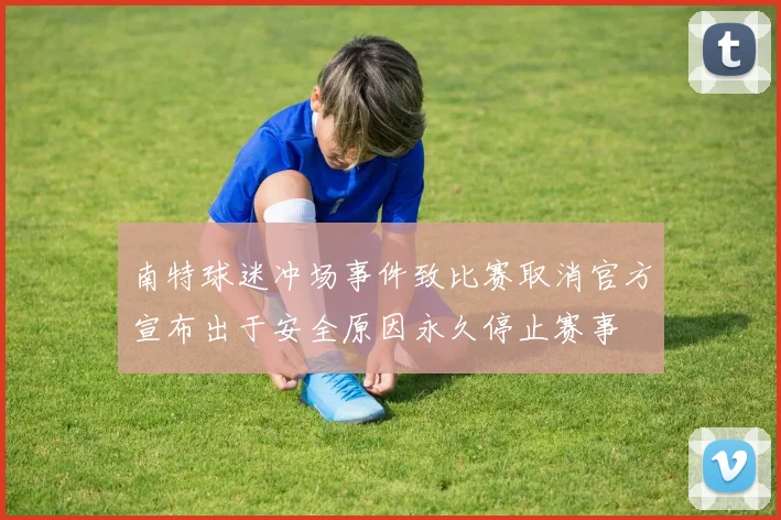 南特球迷冲场事件致比赛取消官方宣布出于安全原因永久停止赛事